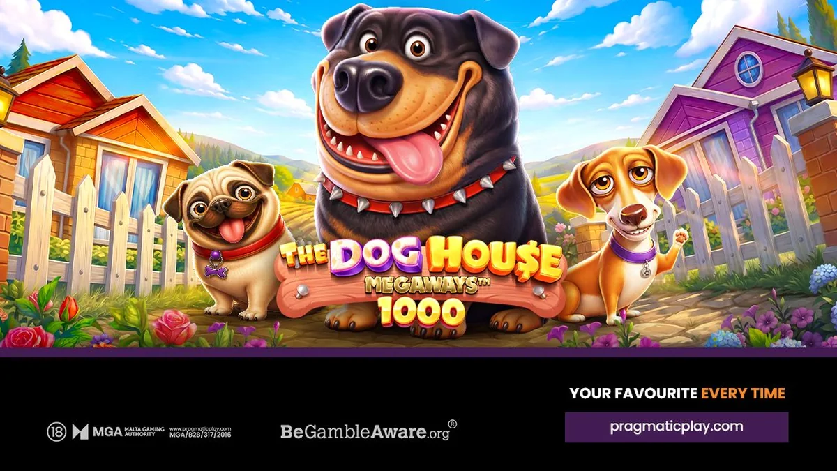 The Dog House on 1win: demo, RTP and how it works